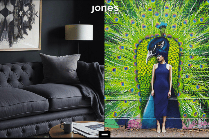 jones l.e.s.